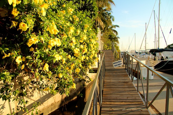 Paradise Village Marina